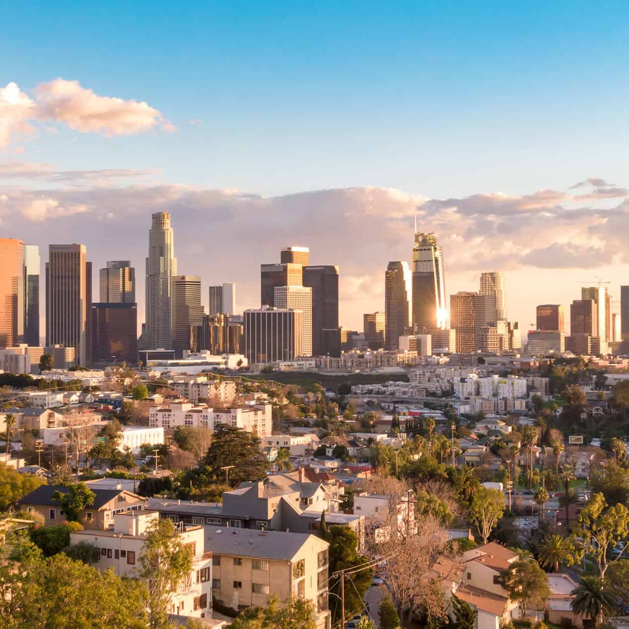 Header Los Angeles Scenery